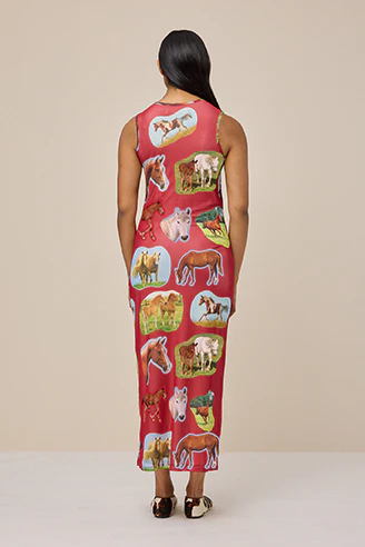 LILY MESH DRESS - HORSE GIRL RED - Hercitys